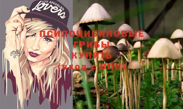 мескалин Козловка