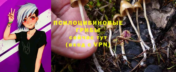 герыч Каменногорск