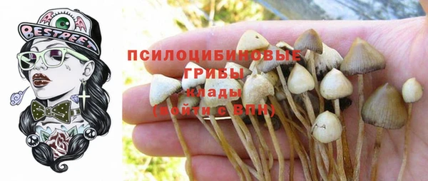spice Кинешма
